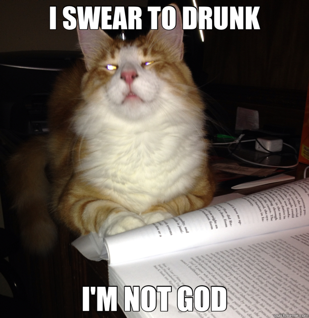 I SWEAR TO DRUNK I'M NOT GOD - I SWEAR TO DRUNK I'M NOT GOD  Drunk Cat