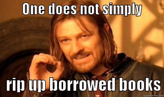         ONE DOES NOT SIMPLY            RIP UP BORROWED BOOKS Boromir
