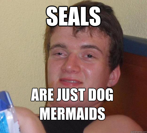 Seals Are just dog mermaids
 - Seals Are just dog mermaids
  10 Guy