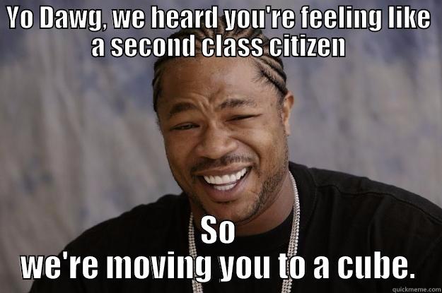 YO DAWG, WE HEARD YOU'RE FEELING LIKE A SECOND CLASS CITIZEN SO WE'RE MOVING YOU TO A CUBE. Xzibit meme