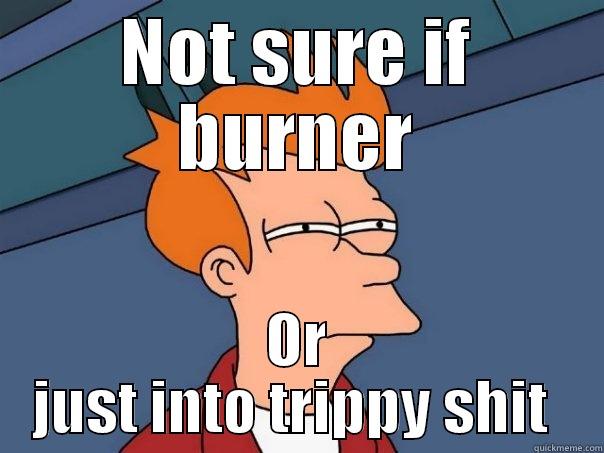 NOT SURE IF BURNER OR JUST INTO TRIPPY SHIT  Futurama Fry