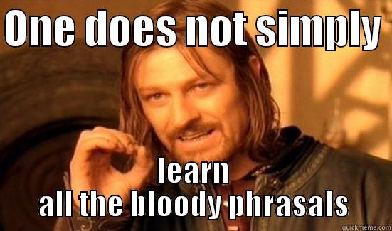 ONE DOES NOT SIMPLY  LEARN ALL THE BLOODY PHRASALS Boromir