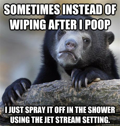 sometimes instead of wiping after i poop i just spray it off in the shower using the jet stream setting.  Confession Bear