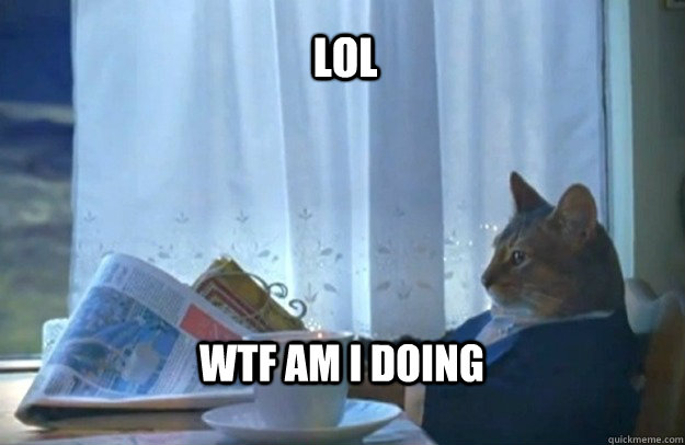 lol wtf am i doing  Sophisticated Cat