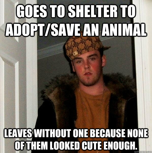 Goes to Shelter to adopt/save an animal Leaves without one because none of them looked cute enough. - Goes to Shelter to adopt/save an animal Leaves without one because none of them looked cute enough.  Scumbag Steve