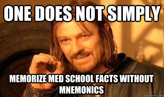 ONE DOES NOT SIMPLY MEMORIZE MED SCHOOL FACTS WITHOUT MNEMONICS  One Does Not Simply