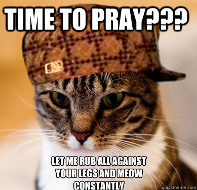 Time to pray??? Let me rub all against your legs and meow constantly  Scumbag Cat