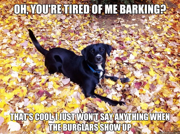 Oh, you're tired of me barking? That's cool, I just won't say anything when the burglars show up  Guilt Giving Good Dog