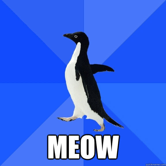  meow  Socially Awkward Penguin