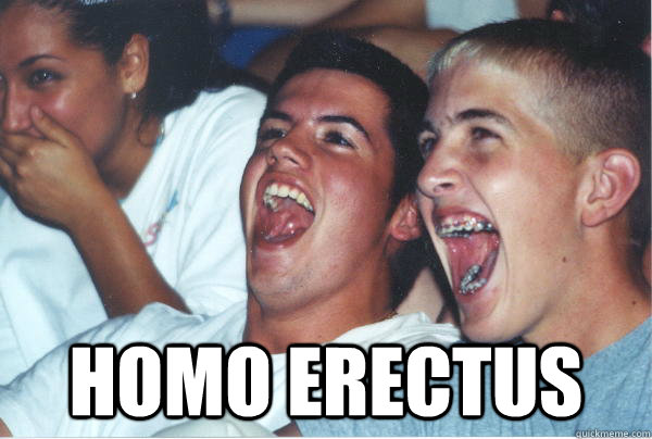  Homo Erectus  -  Homo Erectus   Immature High Schoolers