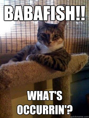 BabaFish!! What's occurrin'?  The Most Interesting Cat in the World