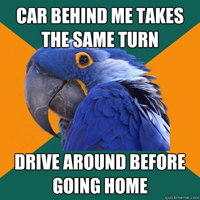 car behind me takes the same turn drive around before going home  Paranoid Parrot