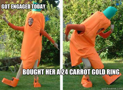 bought her a 24 carrot gold ring got engaged today - bought her a 24 carrot gold ring got engaged today  Lame Joke Carrot