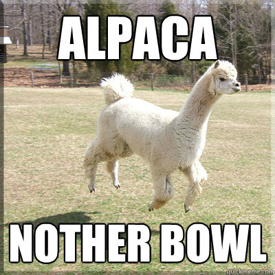 Alpaca Nother Bowl  