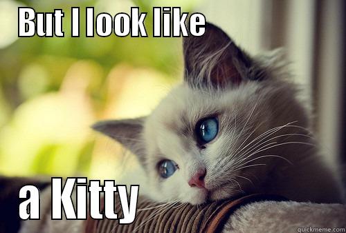 BUT I LOOK LIKE                     A KITTY                       First World Problems Cat