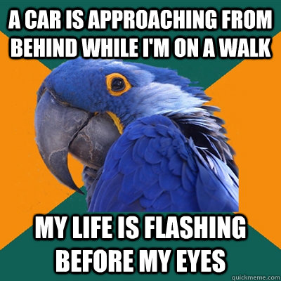 A car is approaching from behind while I'm on a walk My life is flashing before my eyes  Paranoid Parrot