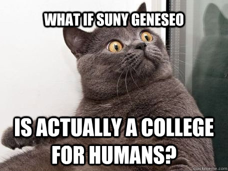 What if SUNY Geneseo Is actually a college for humans? - What if SUNY Geneseo Is actually a college for humans?  conspiracy cat