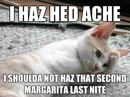 I haz hed ache I shoulda not haz that second margarita last nite  Margarita