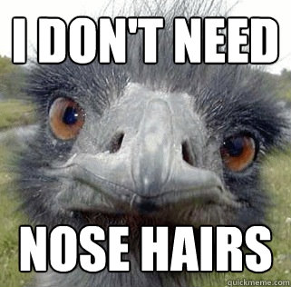 I don't need Nose Hairs - I don't need Nose Hairs  Seeing Ostrich