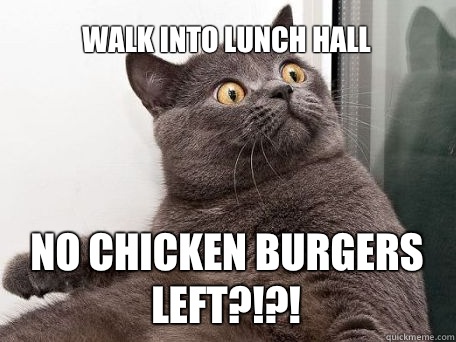 Walk into lunch hall No chicken burgers left?!?!  conspiracy cat