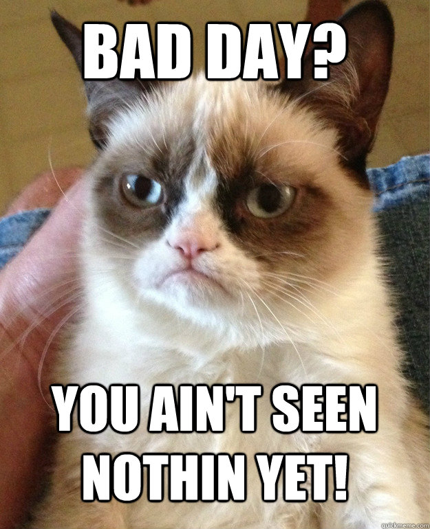 bad day? you ain't seen nothin yet! - bad day? you ain't seen nothin yet!  Grumpy Cat