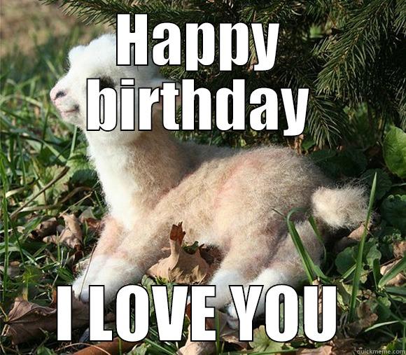 HAPPY BIRTHDAY I LOVE YOU Misc
