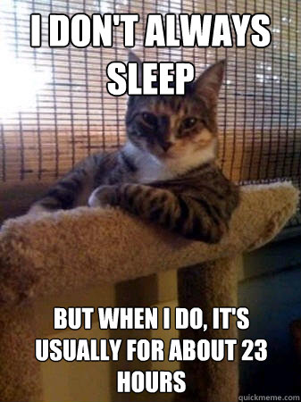 I don't always sleep but when I do, it's usually for about 23 hours  The Most Interesting Cat in the World