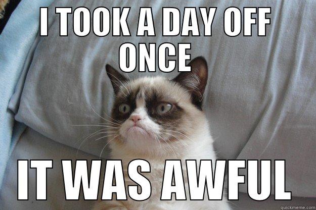 I TOOK A DAY OFF ONCE IT WAS AWFUL Grumpy Cat
