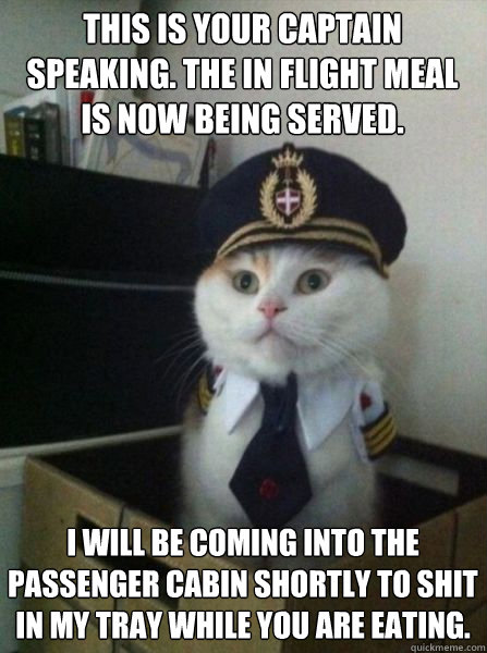 This is your captain speaking. the in flight meal is now being served. I will be coming into the passenger cabin shortly to shit in my tray while you are eating.  Captain kitteh