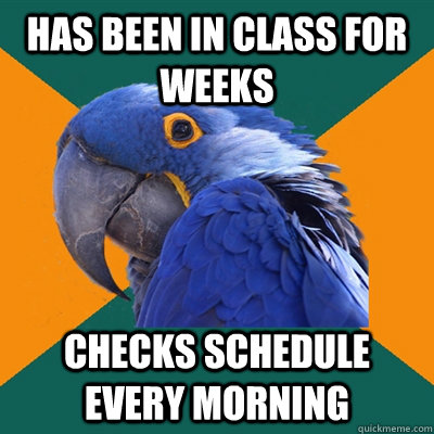 Has been in class for weeks Checks schedule every morning   Paranoid Parrot