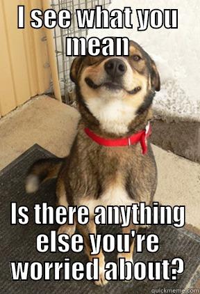 I SEE WHAT YOU MEAN IS THERE ANYTHING ELSE YOU'RE WORRIED ABOUT? Good Dog Greg
