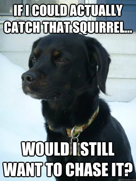 If I could actually catch that squirrel... Would I still want to chase it?  Philosophical Puppy