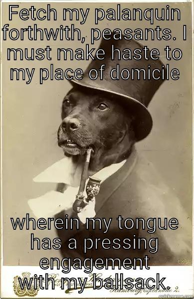 Fetch my palanquin forthwith ... - FETCH MY PALANQUIN FORTHWITH, PEASANTS. I MUST MAKE HASTE TO MY PLACE OF DOMICILE WHEREIN MY TONGUE HAS A PRESSING ENGAGEMENT WITH MY BALLSACK. Old Money Dog