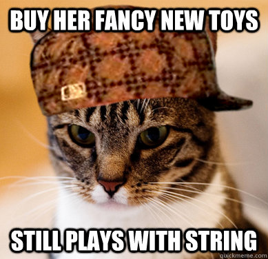 Buy her fancy new toys still plays with string  Scumbag Cat