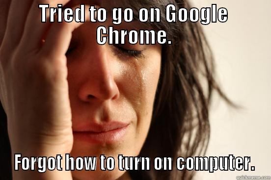 TRIED TO GO ON GOOGLE CHROME. FORGOT HOW TO TURN ON COMPUTER. First World Problems