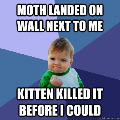 Moth landed on wall next to me Kitten killed it before I could  Success Kid