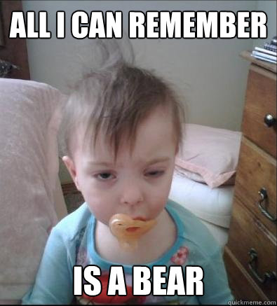 all i can remember is a bear  Party Toddler