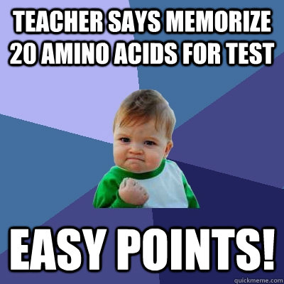 Teacher says memorize 20 amino acids for test Easy Points! - Teacher says memorize 20 amino acids for test Easy Points!  Success Kid