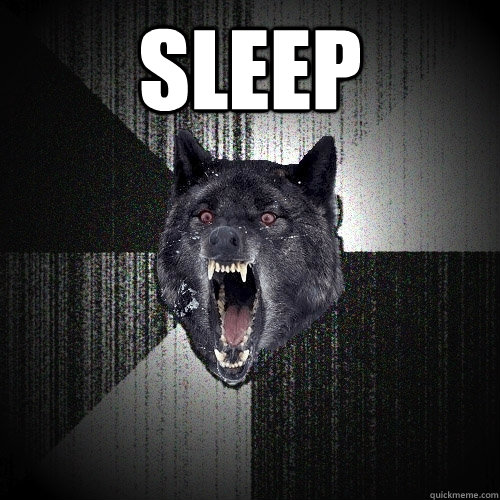SLEEP   Insanity Wolf