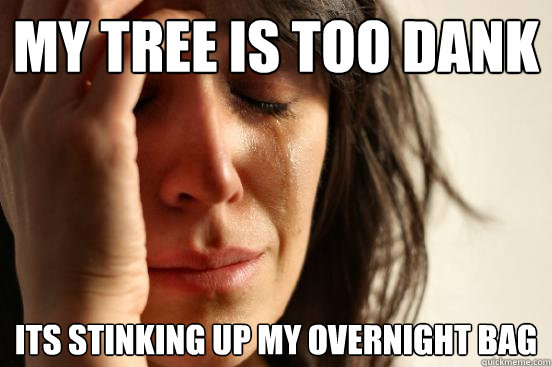 my tree is too dank Its stinking up my overnight bag  First World Problems