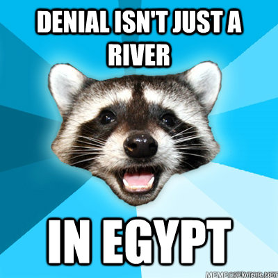 Denial isn't just a river In Egypt   Lame Pun Raccoon