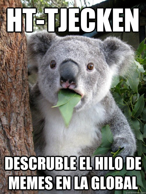 HT-Tjecken descruble el hilo de memes en la global  - HT-Tjecken descruble el hilo de memes en la global   Amazed Koala