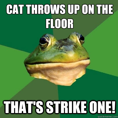 Cat throws up on the floor That's strike one! - Cat throws up on the floor That's strike one!  Misc