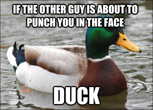 if the other guy is about to punch you in the face duck  Actual Advice Mallard