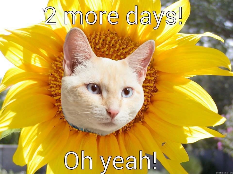 2 MORE DAYS! OH YEAH!  Misc