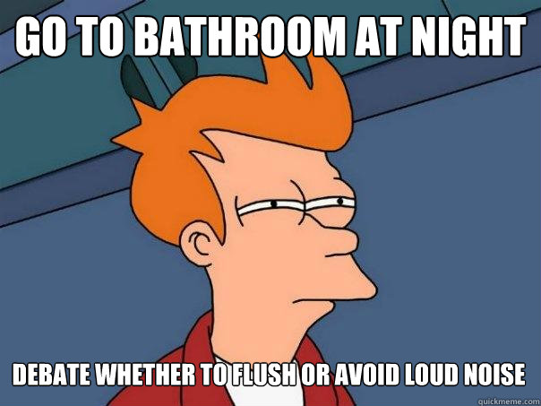 Go to bathroom at night  debate whether to flush or avoid loud noise - Go to bathroom at night  debate whether to flush or avoid loud noise  Futurama Fry