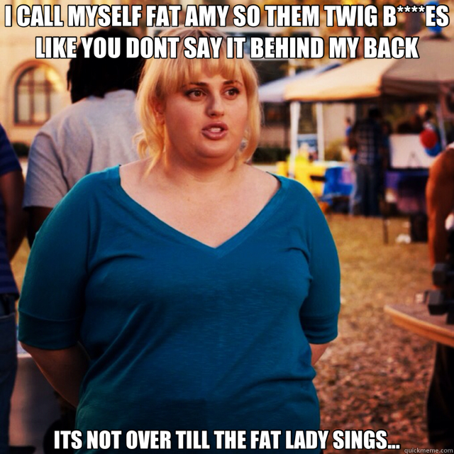 I CALL MYSELF FAT AMY SO THEM TWIG B****ES LIKE YOU DONT SAY IT BEHIND MY BACK ITS NOT OVER TILL THE FAT LADY SINGS... - I CALL MYSELF FAT AMY SO THEM TWIG B****ES LIKE YOU DONT SAY IT BEHIND MY BACK ITS NOT OVER TILL THE FAT LADY SINGS...  Misc