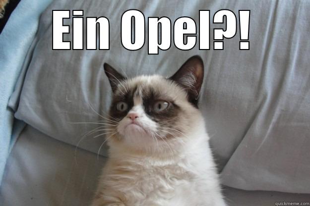 EIN OPEL?!  Grumpy Cat