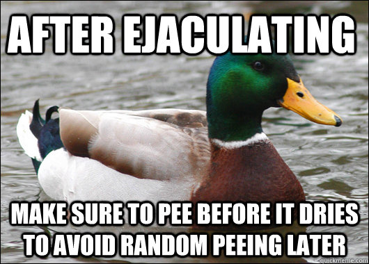 After ejaculating make sure to pee before it dries to avoid random peeing later  Actual Advice Mallard