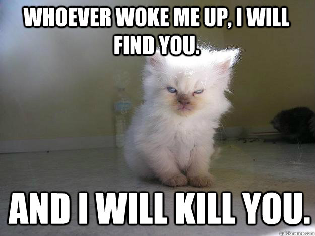 Whoever woke me up, I will find you. And I will kill you.  